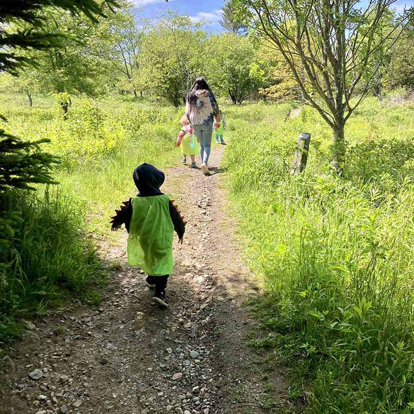 Walking down a trail